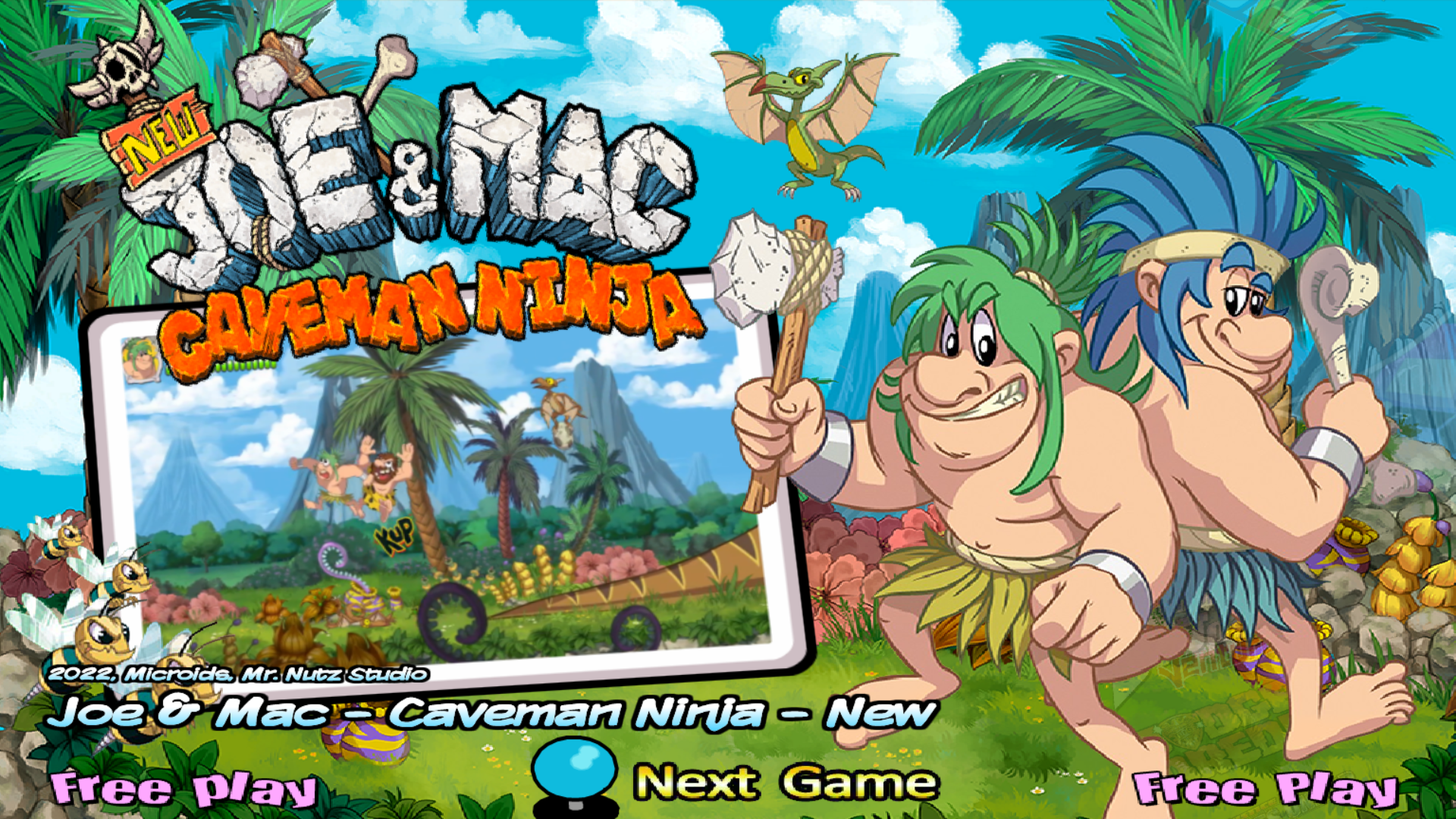 Notice Fan-Made Joe And Mac: Caveman Ninja - Manuel Français - NEUF