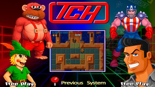 More information about "System TCH"