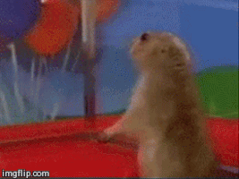 200.gif