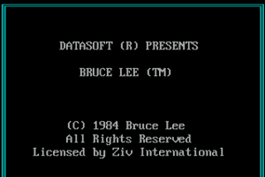 Bruce Lee 3