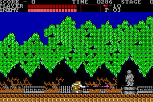 Castlevania 6
