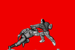 Ninja Gaiden 1