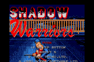 Ninja Gaiden 2