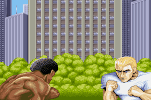Street Fighter II 0