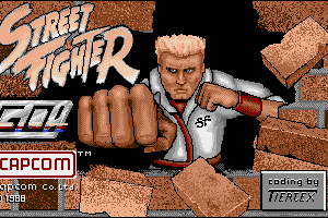 Street Fighter 0