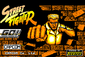 Street Fighter 0