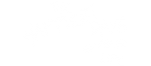 post-95035-142870668404_thumb.png