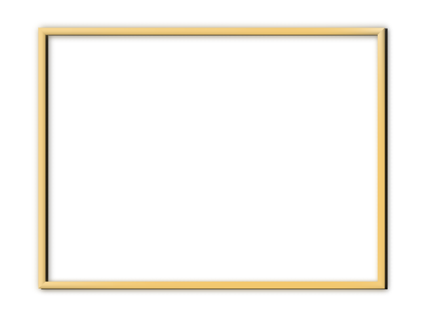 Frame.png.adb488963133dac98a5baa295fb5caa1.png