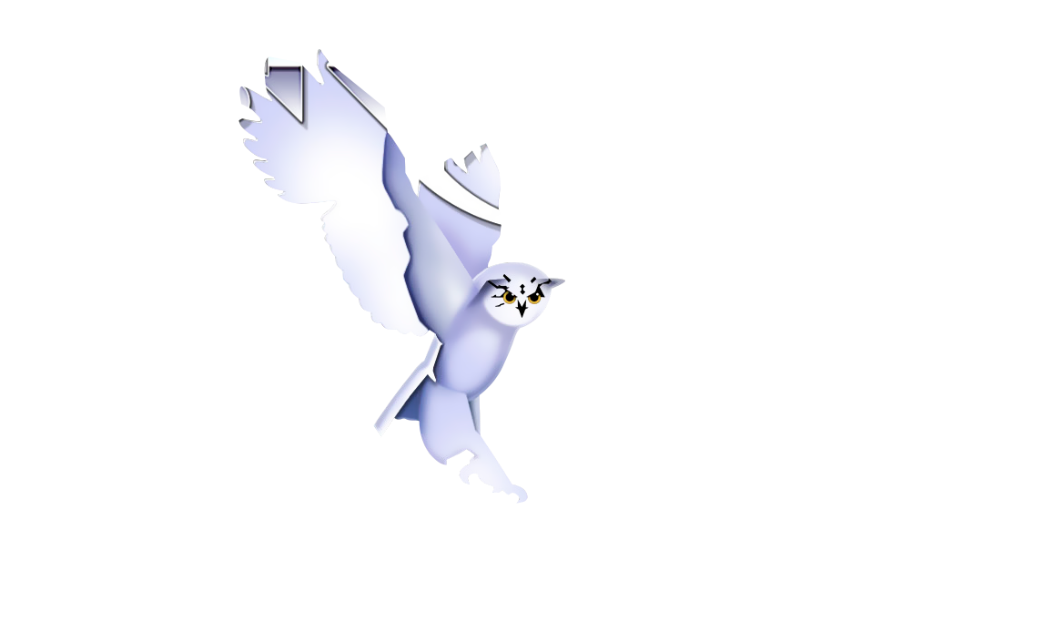 Owl Cutout (NO-FX).png