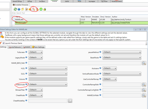 RL-mame-(ini)-videomode.thumb.PNG.df5310069056ba7d6b089177b876c554.PNG