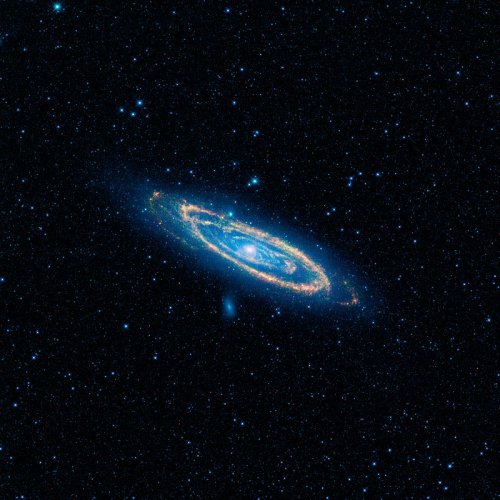 800px-WISE-_Andromeda.jpg