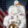 SpaceDuck